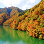 中部地区で最も信頼できる制作会社を探しオンカさんを選びました