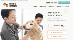陶のまち動物病院　様