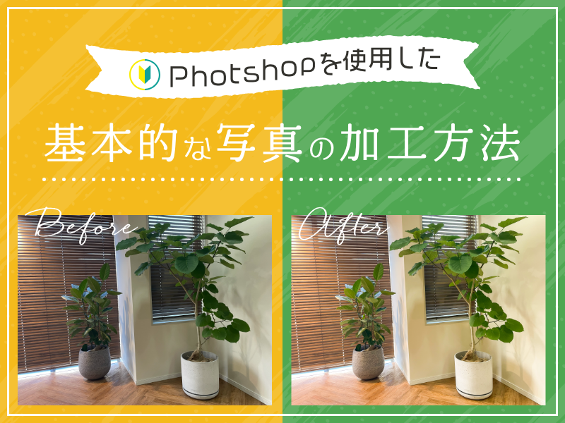 初心者でも分かる！Photoshopを使用した基本的な写真の加工方法