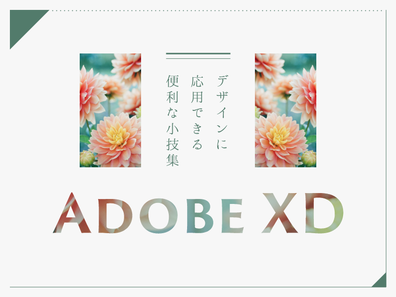 WEBデザインで活用できるAdobe XDの便利な小技集