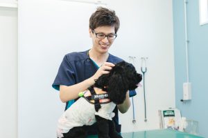 ホームページは妥協せず最高のものを！