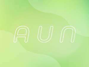 ホームページの修正指示で活用できるAUNの使用方法